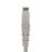 Nexxt Patch Cord Cat6 7Ft. GR