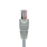 Nexxt Patch Cord Cat5e 10Ft. GR