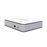 Forza - Battery backup - 35 Watt - AC 110/120 V - DC PoE USB-A USB-C
