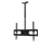 Xtech XTA-527 - Abrazadera - para pantalla plana - acero - negro - tamaño de pantalla: 32