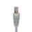 Nexxt - Cable de interconexión - RJ-45 (M) a RJ-45 (M) - 15.2 m - UTP - CAT 5e - moldeado, trenzado - gris