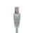 Nexxt - Cable de interconexión - RJ-45 (M) a RJ-45 (M) - 7.6 m - UTP - CAT 5e - moldeado, trenzado - gris