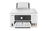 Canon - Workgroup printer - MAXIFY GX3010 AIO COLOR 18/13