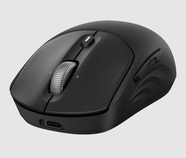 HP - 700 - Mouse - Wireless
