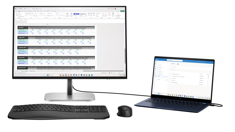 HP S5 Pro - LCD monitor - 24