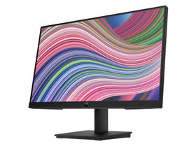 HP P22 G5 - P-Series - monitor LED - 21.5