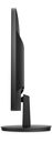 HP V22v - Monitor LED - 22