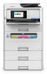 Epson WorkForce - EM-C800