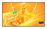 LG Pantalla Pro 49″ UHD 500 24/7 Horizontal / Vertical webOS, IP5X