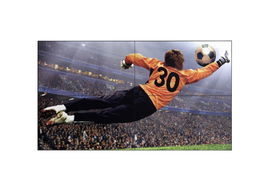 Videowall LG 49″ FHD 500 nits Bisel 3.5mm Videowall LG 49″ FHD 500 nits Bisel 3.5mm