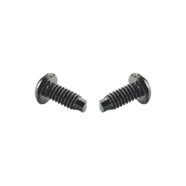 Tornillo #12-24, 13 mm de largo, para uso con Racks de 2 o 4 postes Panduit, de Acero, Bolsa de 100pz