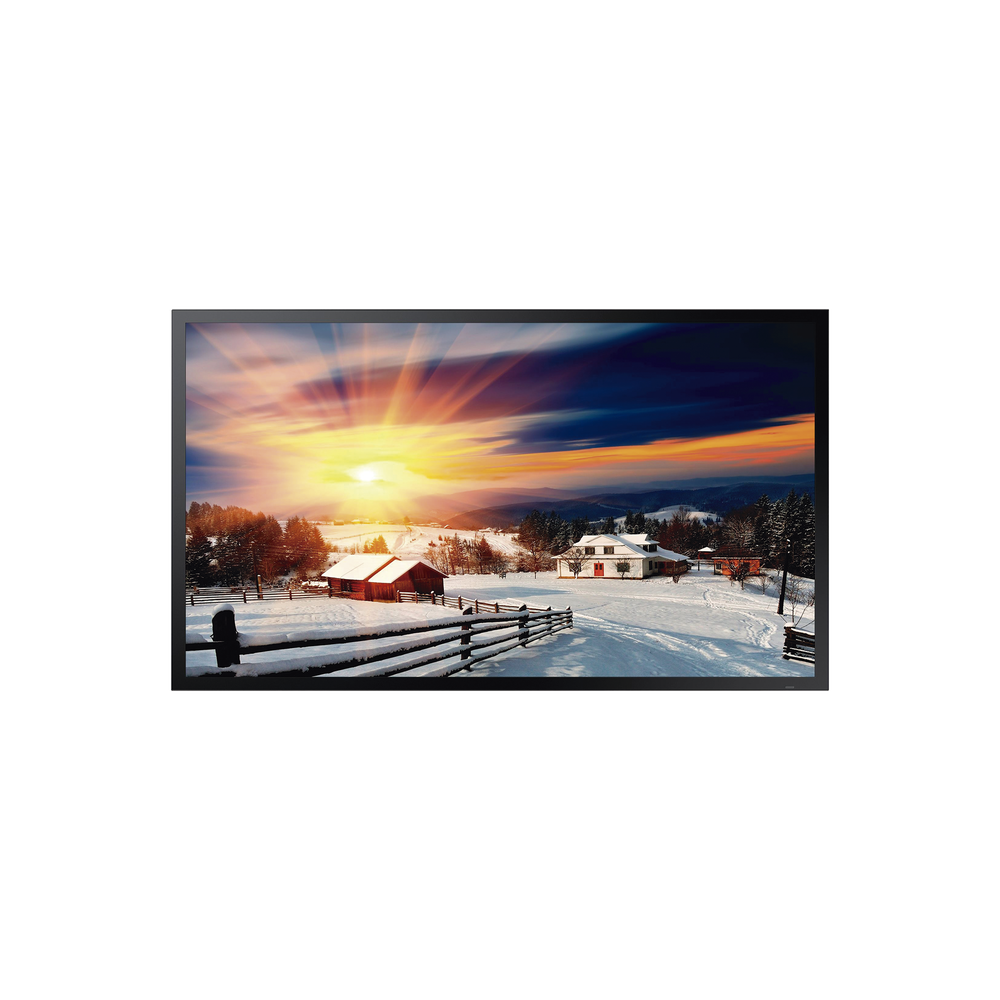 Pantalla Profesional LED 55