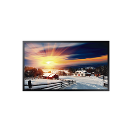 Pantalla Profesional LED 55