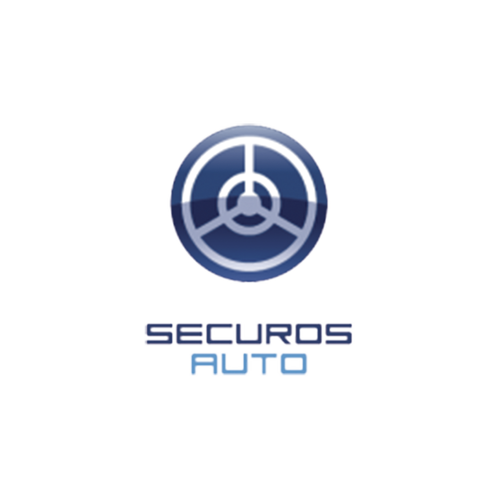 Licencia LPR SecurOS AUTO por Cámara, para Baja Velocidad (alto total)