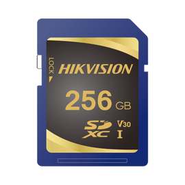 Memoria SD Clase 10 de 256 GB / Especializada Para Videovigilancia