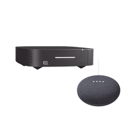 Kit Amplificador Vssl De Una Zona Más Asistente Nestmini Color Negro