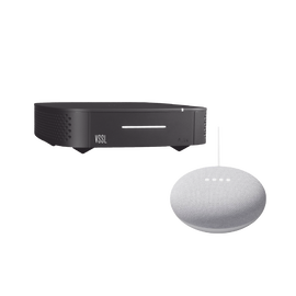 Kit Amplificador Vssl De Una Zona Más Asistente Nestmini Color Gris