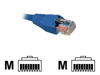 Nexxt - Cable de interconexión - RJ-45 (M) a RJ-45 (M) - 3m - UTP - CAT 5e - moldeado, trenzado - azul Nexxt - Cable de interconexión - RJ-45 (M) a RJ-45 (M) - 3m - UTP - CAT 5e - moldeado, trenzado - azul