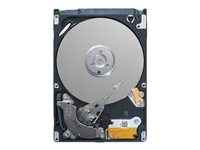 Dell - Disco duro - 2 TB - hot-swap - 3.5