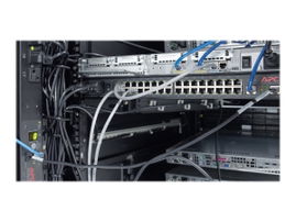 APC - Panel de organización de cables para bastidor - negro - para P/N: AR3106SP, SMX1000C, SMX1500RM2UC, SMX1500RM2UCNC, SMX750C, SMX750CNC, SRT5KRMXLW-TW