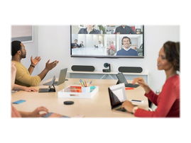 Logitech Rally - Kit de videoconferencia