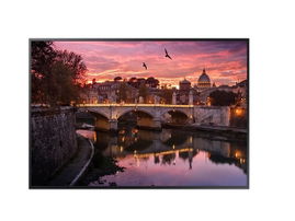 Samsung QB43R - LED-backlit LCD monitor - 42.5
