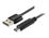 Xtech XTC-510 - Cable USB - 24 pin USB-C (M) reversible a USB (M) - USB 2.0 - 1.8 m - negro