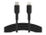 Belkin BoostCharge - Cable Lightning - 24 pin USB-C macho a Lightning macho - 1 m - negro - suministro de potencia USB (18W)