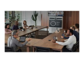 Logitech Rally Plus - Kit de videoconferencia