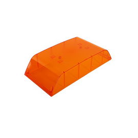 Central Dome, Amber Color for VISTA