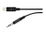 Belkin - Cable de Lightning a conector de auriculares - Lightning macho a mini-phone stereo 3.5 mm macho - 91.4 cm - negro