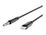 Belkin - Cable de Lightning a conector de auriculares - Lightning macho a mini-phone stereo 3.5 mm macho - 91.4 cm - negro