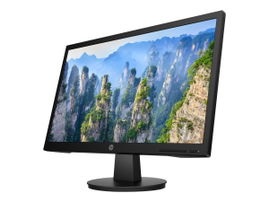 HP V22 - Monitor LED - 22