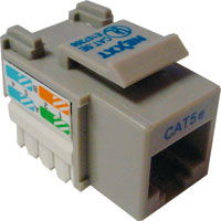 Nexxt - Modular insert - RJ-45 - gray - 1 port