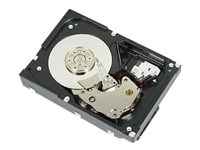 Dell - Disco duro - 1 TB - interno - 3.5