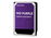 WD Purple WD40PURZ - Disco duro - 4 TB - interno - 3.5