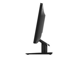 Lenovo D19-10 - Monitor LED - 18.5