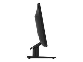Lenovo D19-10 - Monitor LED - 18.5