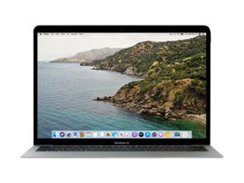 Belkin ScreenForce - Filtro de privacidad para portátil - extraíble - 13