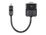 Belkin Mini DisplayPort to VGA - Vídeo conversor - DisplayPort - VGA