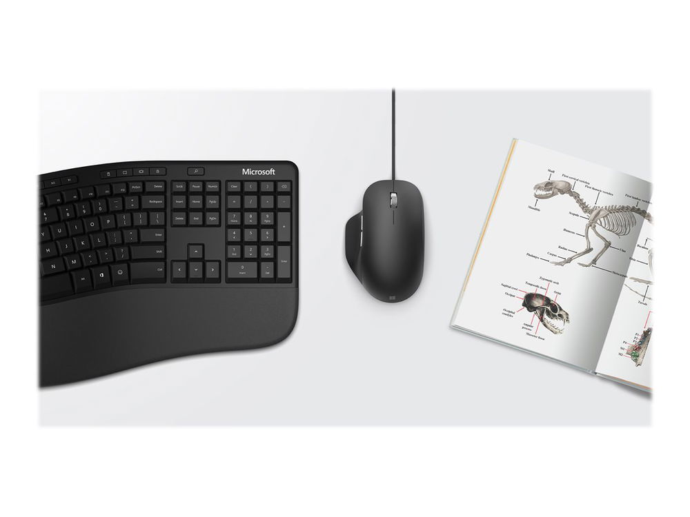 Microsoft Ergonomic Mouse - Ratón - ergonómico - óptico - 5 botones - cableado - USB 2.0 - negro