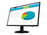 HP N246v - Monitor LED - 23.8