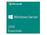Microsoft Windows Server 2016 Essentials Edition - HPE - Licencia - 1 servidor (hasta 2 procesadores) - OEM - ROK - DVD - con el BIOS bloqueado (Hewlett Packard Enterprise) - Español - EMEA, Americas