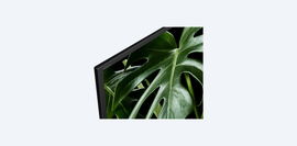 Motionflow XR 240 (60 Hz originales), 126 cm/50