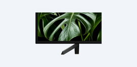 Motionflow XR 240 (60 Hz originales), 126 cm/50