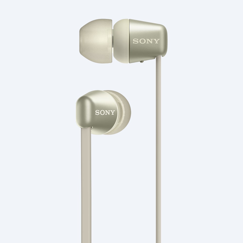 Audífonos internos inalámbricos WI-C310 Audífonos internos inalámbricos WI-C310