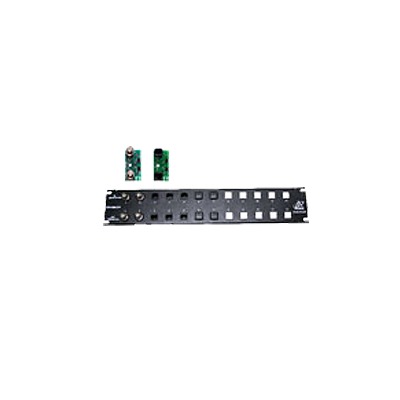 Placa frontal para 12 módulos con conexión BNC para instalaciones en rack ( No se incluyen los módulos ) Placa frontal para 12 módulos con conexión BNC para instalaciones en rack ( No se incluyen los módulos )