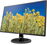 HP 27y 68,6 cm (27