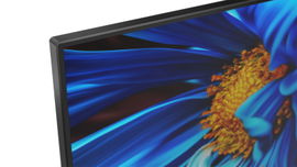 Lenovo - LED-backlit LCD monitor - 23.8