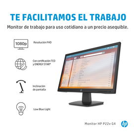HP P22v G4 - LCD monitor - 21.5